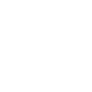 Rider's position